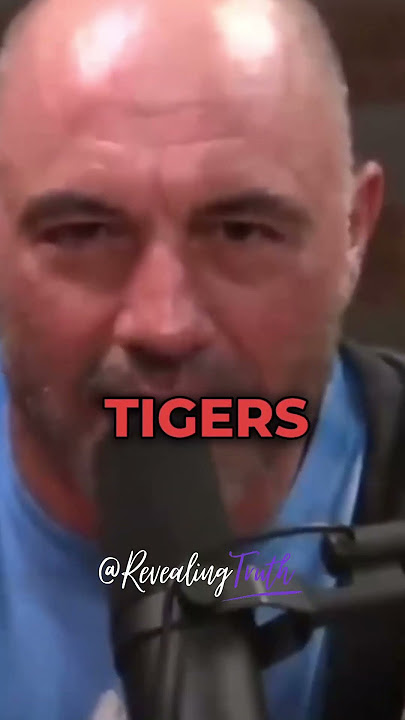 LIONS VS TIGERS!😱 | Joe Rogan