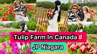 JP Niagara Tulip Farm |Lifetime Experience Tulip |Toronto To Niagara Farm By Car #svadhisworld