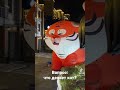 Что делает кот?