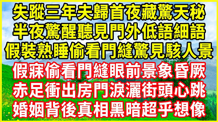 失蹤三年夫歸首夜藏驚天秘，半夜驚醒聽見門外低語細語，假裝熟睡偷看門縫驚見駭人景，假寐偷看門縫眼前景象昏厥，赤足衝出房門淚灑街頭心跳，婚姻背後真相黑暗超乎想像！#情感故事 #深夜淺談 #欺騙的故事