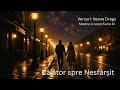 Călător Spre Nesfârșit 