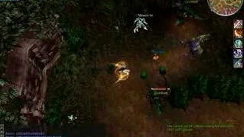 Botting in Mutant Forest
