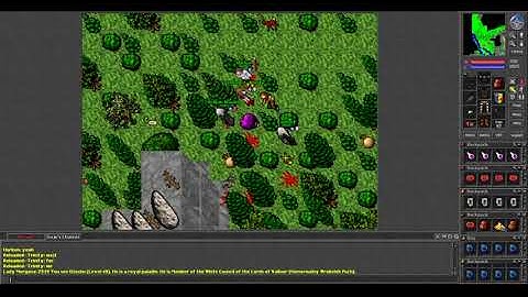 Old Tibia - Team PK MASS KILL on Danubia (2004 7.3)