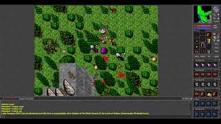 Old Tibia - Team PK MASS KILL on Danubia (2004 7.3)