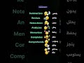 Study and Learning Verbs أفعال الدراسة والتعلم English fyp viralreels الانجليزية انجليزي mp3
