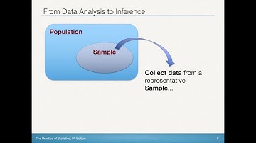 AP Statistics - Analyzing Categorical Data