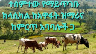 Best Ethiopia Classical Music ምርጥ ክላሲካል