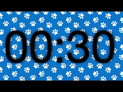 30 Second Timer Count Up Blue Paw Prints