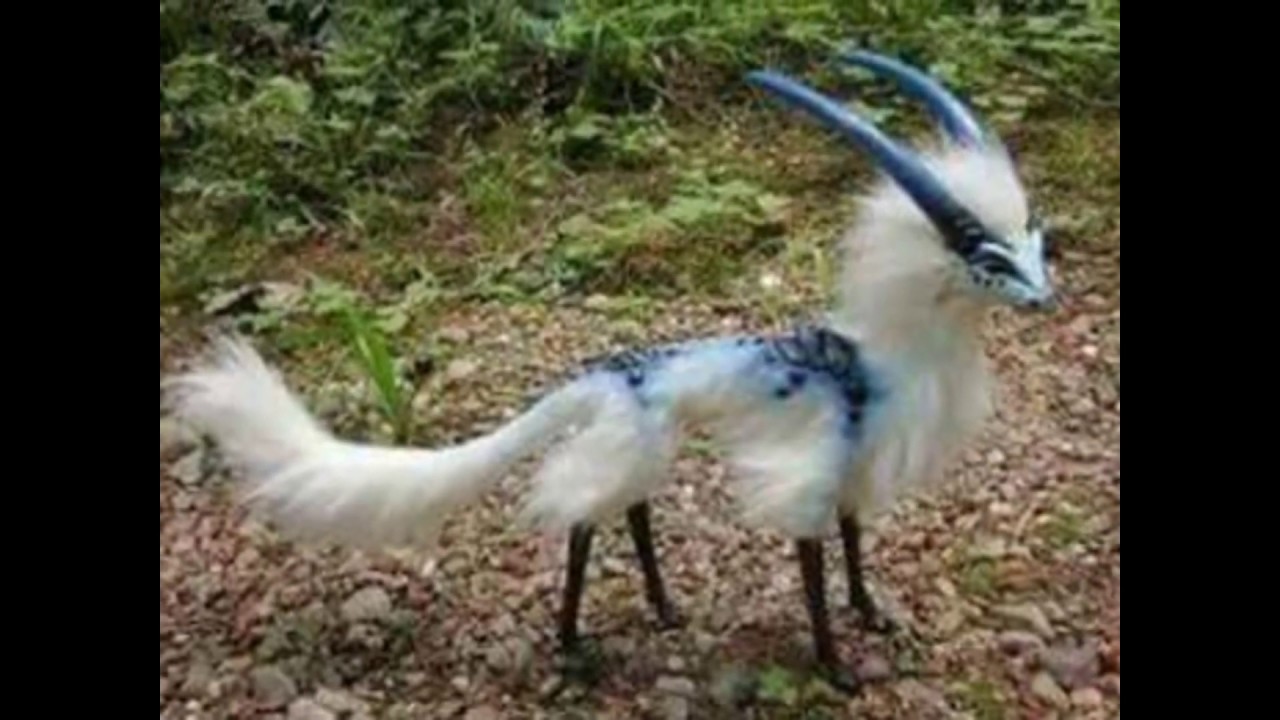 Wonderful creative work by CMWyvern - Amazing doll Cloud Antelope