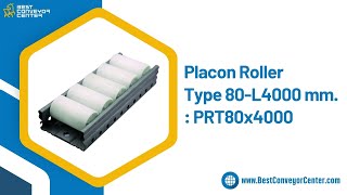 Placon Roller Type 80-L4000 mm. : PRT80x4000