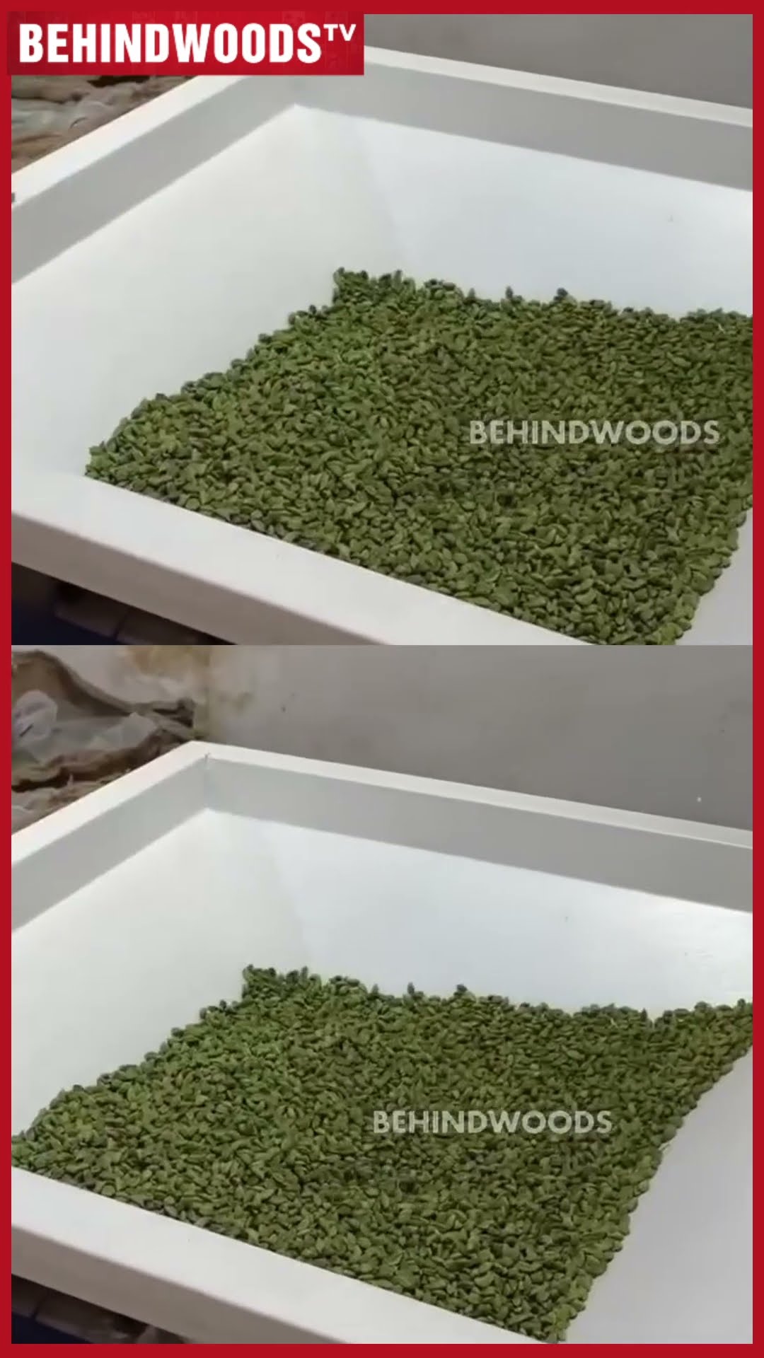 அடேங்கப்பா இந்த ஏலக்காய் இவ்ளோ Rate-க்கு போகுமா? ? System முன்னாடி கொட்டி கெடக்கும் வைரம்