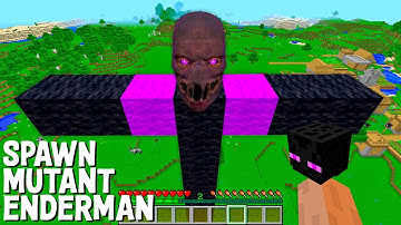 ENDERMAN - This is a SUPER SECRET WAY TO SPAWN BIGGEST ENDERMAN in Minecraft TITAN