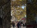Barcelona life❤️#barcelona #spain
