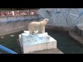 Герда столкнула медвежонка в воду