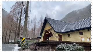 스테이 인터뷰, 장태산 | 대전 감성숙소 #눈오는날 #힐링여행 #장태산스테이