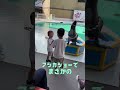 アシカショーでまさかの!? #shorts #赤ちゃん
