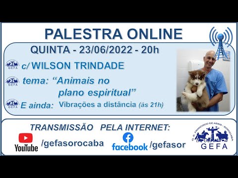 Assista: Palestra Online - c/ WILSON TRINDADE (23/06/2022)