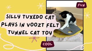 Vertical Video SILLY tuxedo cat plays in Voozt felt tunnel cat toy #gifted #cats #pets