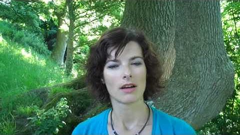 Intro to the Stagecraft Secrets for Speakers Training