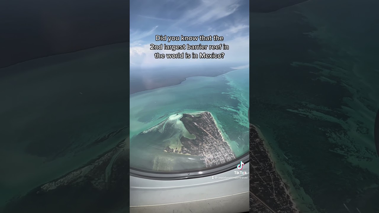 The World’s 2nd Largest Barrier Reef