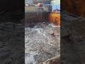 তাজা তাজা মাছ... #shortsviral #fish #shorts #trending #fishmarket #rajshahi #viralvideo #viralvideo
