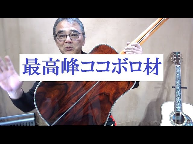 209 販売分 最高峰ココボロギター】TD－81 最高ココボロギターは