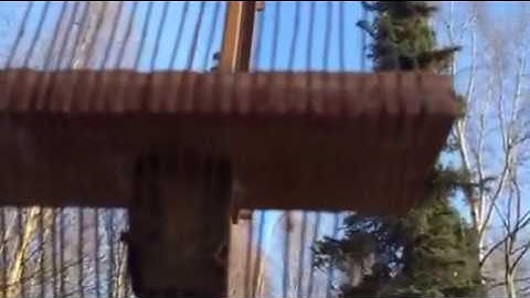 VLF loop antennae @ KL7L