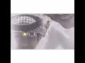 شوقي خالي فهد بن فصلا