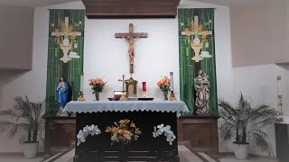 Seventeenth Sunday in Ordinary Time - July 25,  11am mass