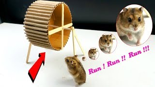 How to make a Hamster Wheel easy from cardboard -  DIY hamster toy