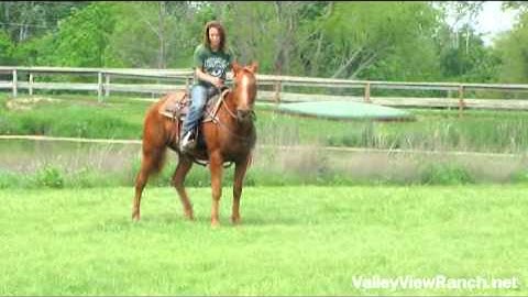 Foxy Lil Freckles  ***For info, price, etc., go to our website*** - Valley View Ranch