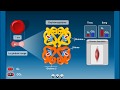 Questce que lhmoglobine