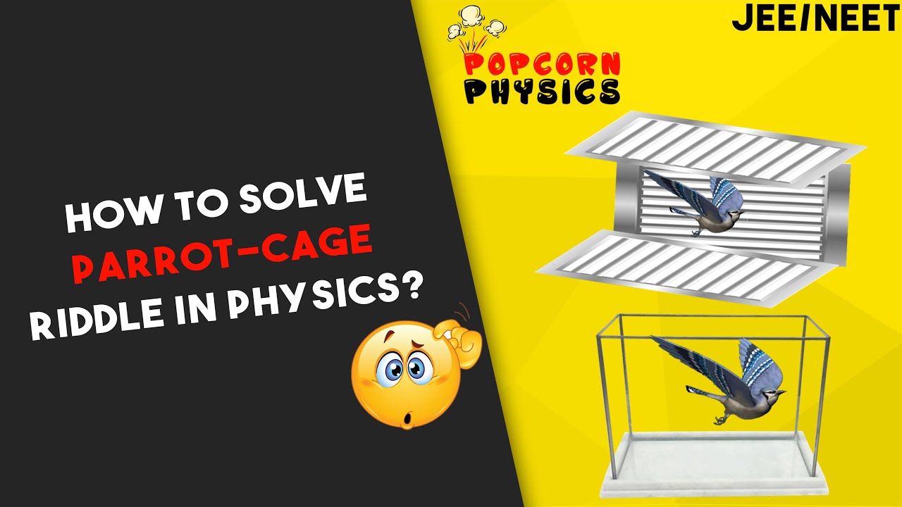 How to solve ParrotCage riddle in physics? IIT JEE & NEET by Prateek