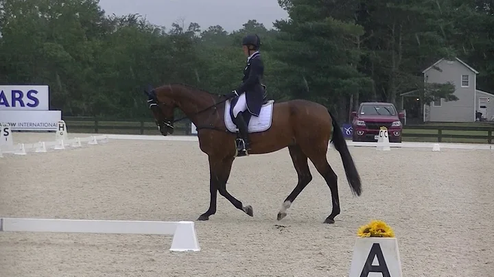 Lynn Symansky & Global Cassero 3 CCI 2star Dressage