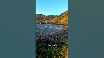 قران كريم ارح قلبك وسمعك #قران_في_دقيقة #اسلام_صبحي #quran #قرآن @قران_في_دقيقه