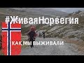 почему стоит побывать в Норвегии | итоги похода