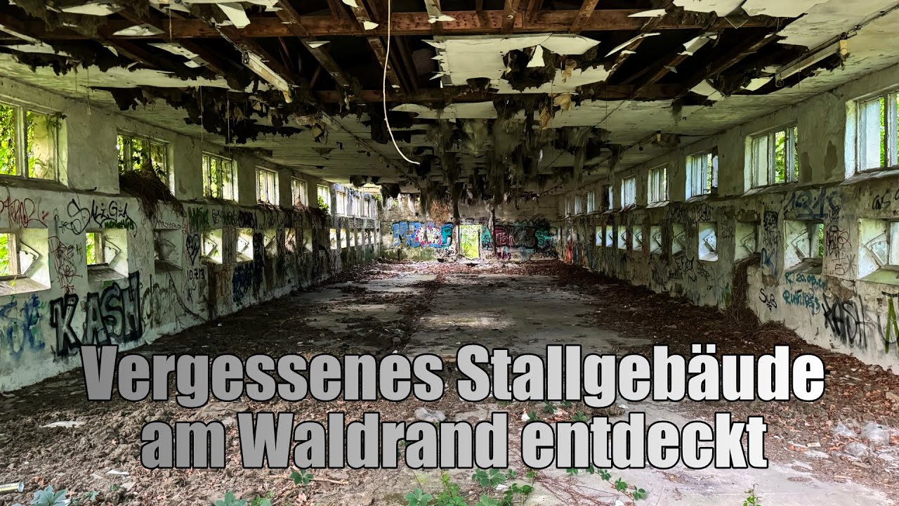 Lost Places - Vergessenes Stallgebäude