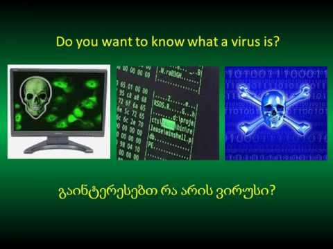 What is a virus? - რა არის ვირუსი?