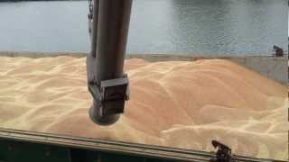 How to trim a Wheat cargo MV Swift