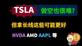 美股 TSLA做空也很难？但拿长线这些更好！NVDA AMD AAPL等 #nvda #tsla #美股 #trading #intc #crcl #稳定币 #amd #smci #量子