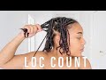 COUNTING MY BABY LOCS... | Finger Coil Starter Locs