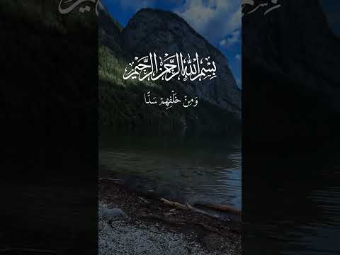 و ج ع ل ن ا م ن ب ي ن أ ي د يه م س د ا   تلاوة هادئة