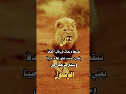 لن نسقط حالات واتس اب شيقة احترافية 2024 روووووووعه