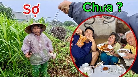 Chưa Từng Có! Thử Nghiệm Số Bẫy Lồng Mới Và Cái Kết Bội Thu Chuột Cống Nhum | HUY ANH TV
