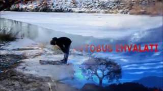 Ocaq Necat Aga Avtobus Ehvalati