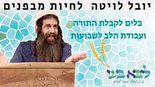 יובל לויטה - בכי לעומת בכיינות - סוד הרגישות דקדושה