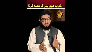 Cat Attack In A Dream Is This Jealousy Or Enmity dreambook islamicshorts