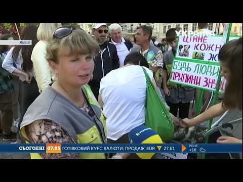Телеканал Броди - онлайн: БФ Телеканал Броди - онлайн: БФ