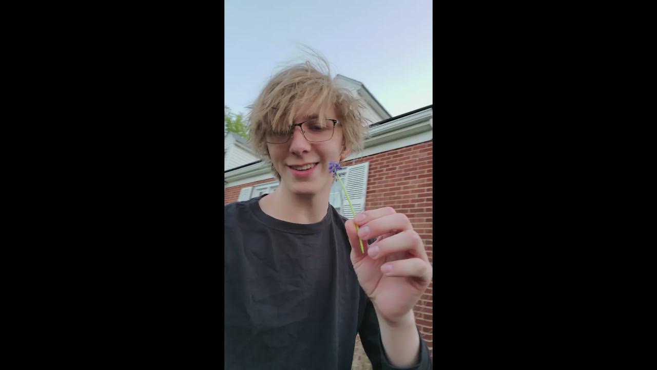 sandwich maker simulator 2021 YouTube