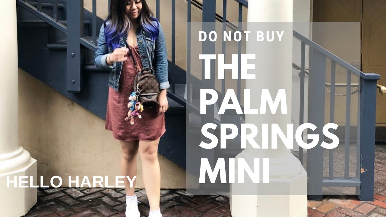 Why I sold my LV Palm Springs Mini - YouTube